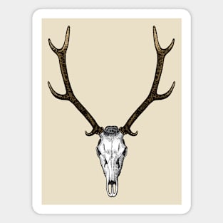 Deer's skull and atlers Magnet